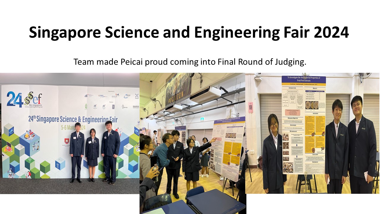 Singapore Science and Engineering Fair